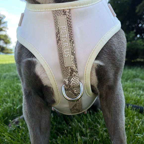 PETsRUS Premium No Pull Dog Harness 2 Leash Clips Ivory Snake Leather Neoprene - Picture 8 of 10